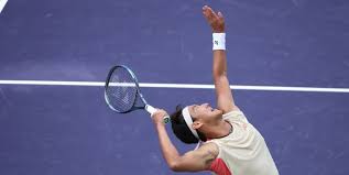 文化交流和 文化交流和