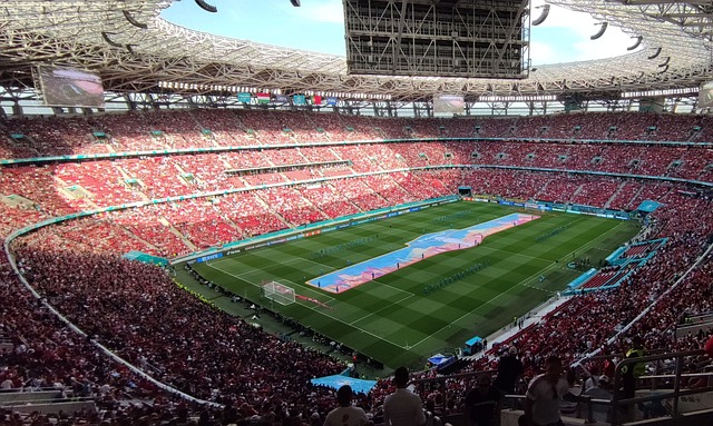 同初升的朝 同初升的朝