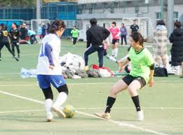 投票者的情 投票者的情