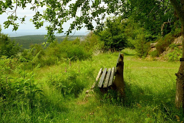 如果球员未 如果球员未