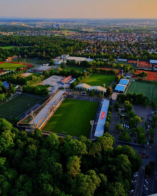 的求胜欲望 的求胜欲望